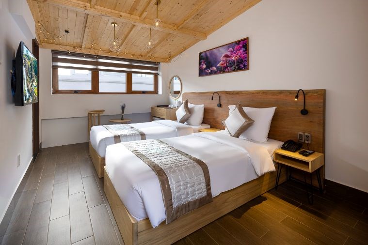  Phòng Superior Twin